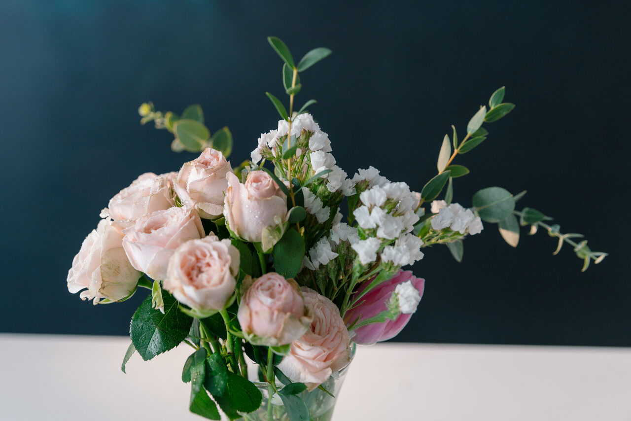 Арендовать Camnevia студия