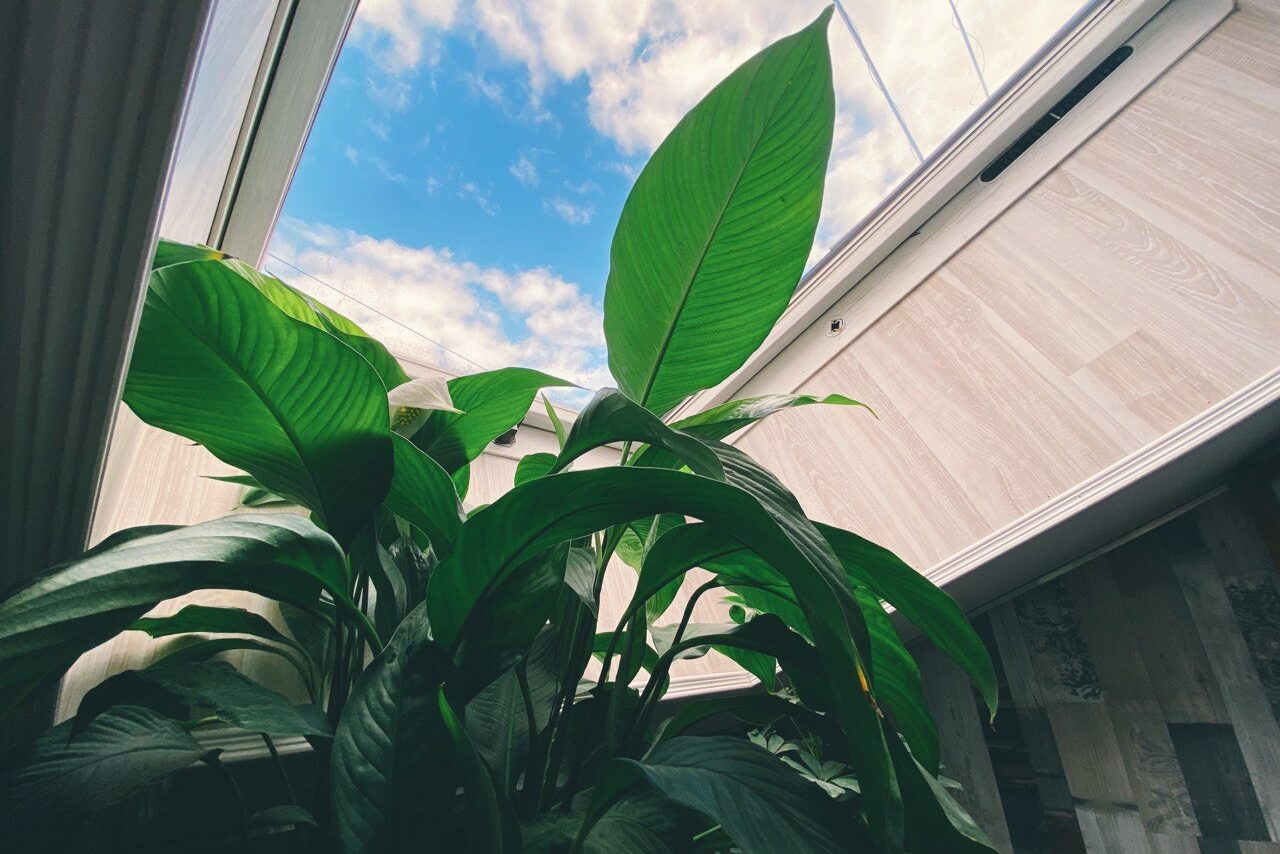 Арендовать Светлая мансарда для образовательных мероприятий