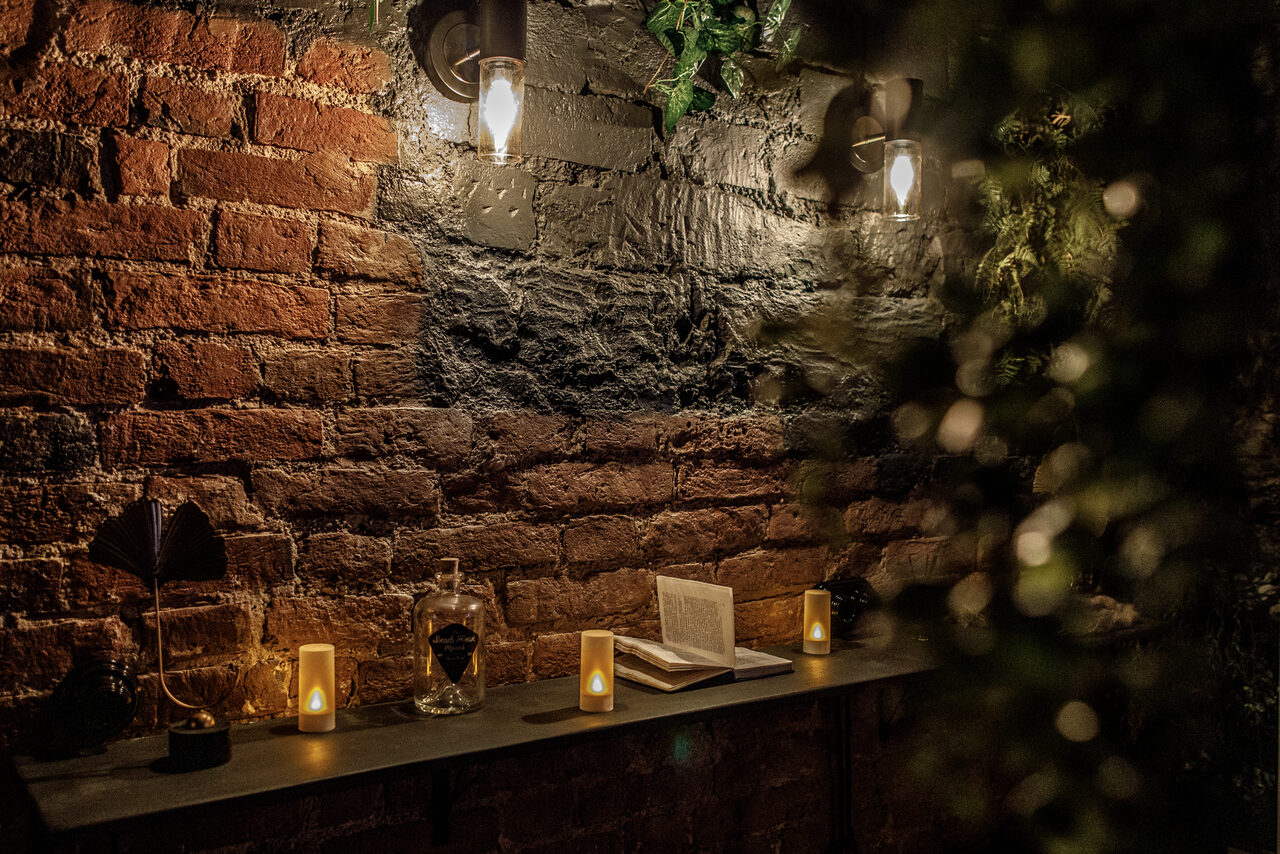 Арендовать Небольшая лофт-комната с растением 