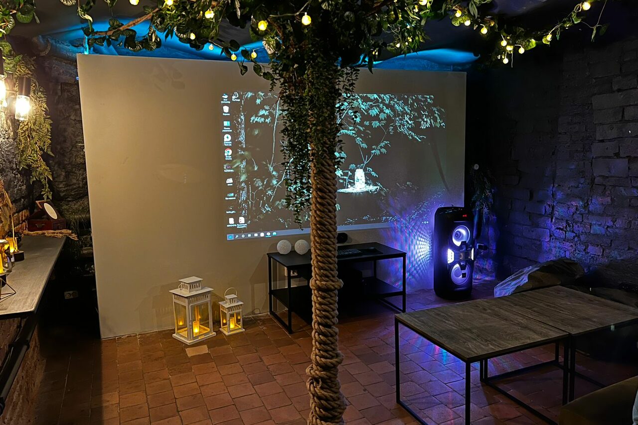 Арендовать Небольшая лофт-комната с растением 