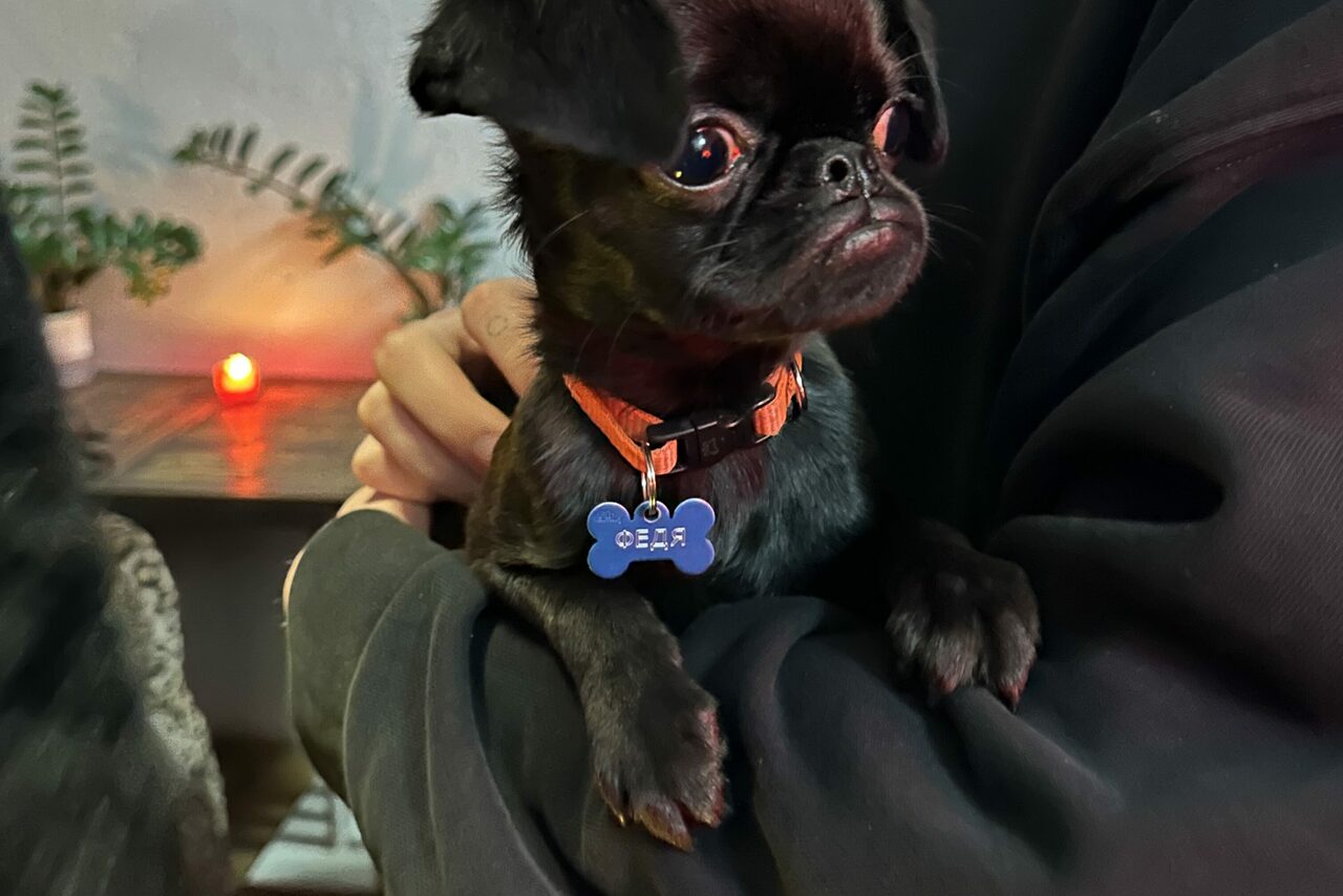 Арендовать Уютный зал пиццерии 