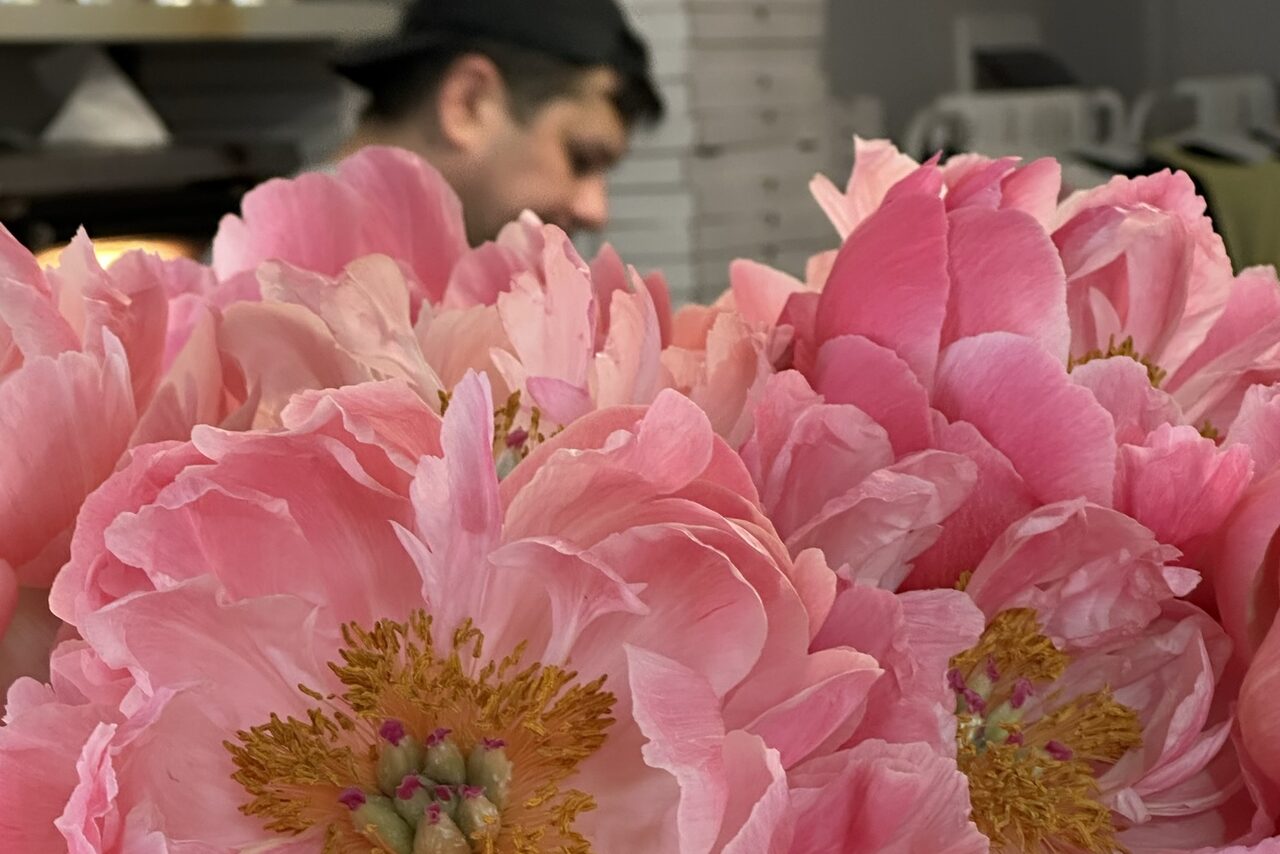 Арендовать Уютный зал пиццерии 