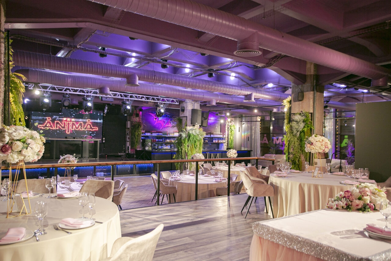 Арендовать Anima(Анима)