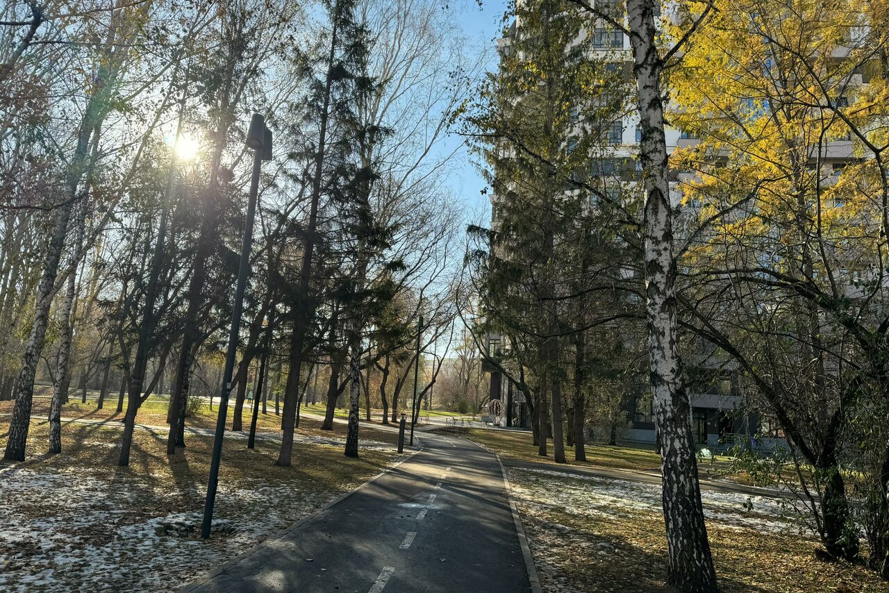Арендовать Arcobaleno Loft(Аркобалено Лофт). Тротуар в парке, окружённый деревьями. На асфальте белая разметка. Освещение естественное с солнечным светом через деревья. Справа видна часть здания. На земле отсутствует значительное количество снега.