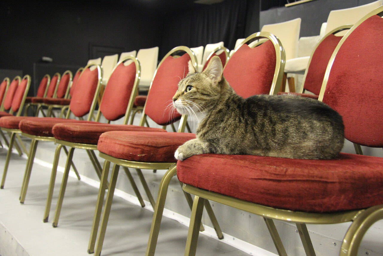 Арендовать Театральный дом с гостиной