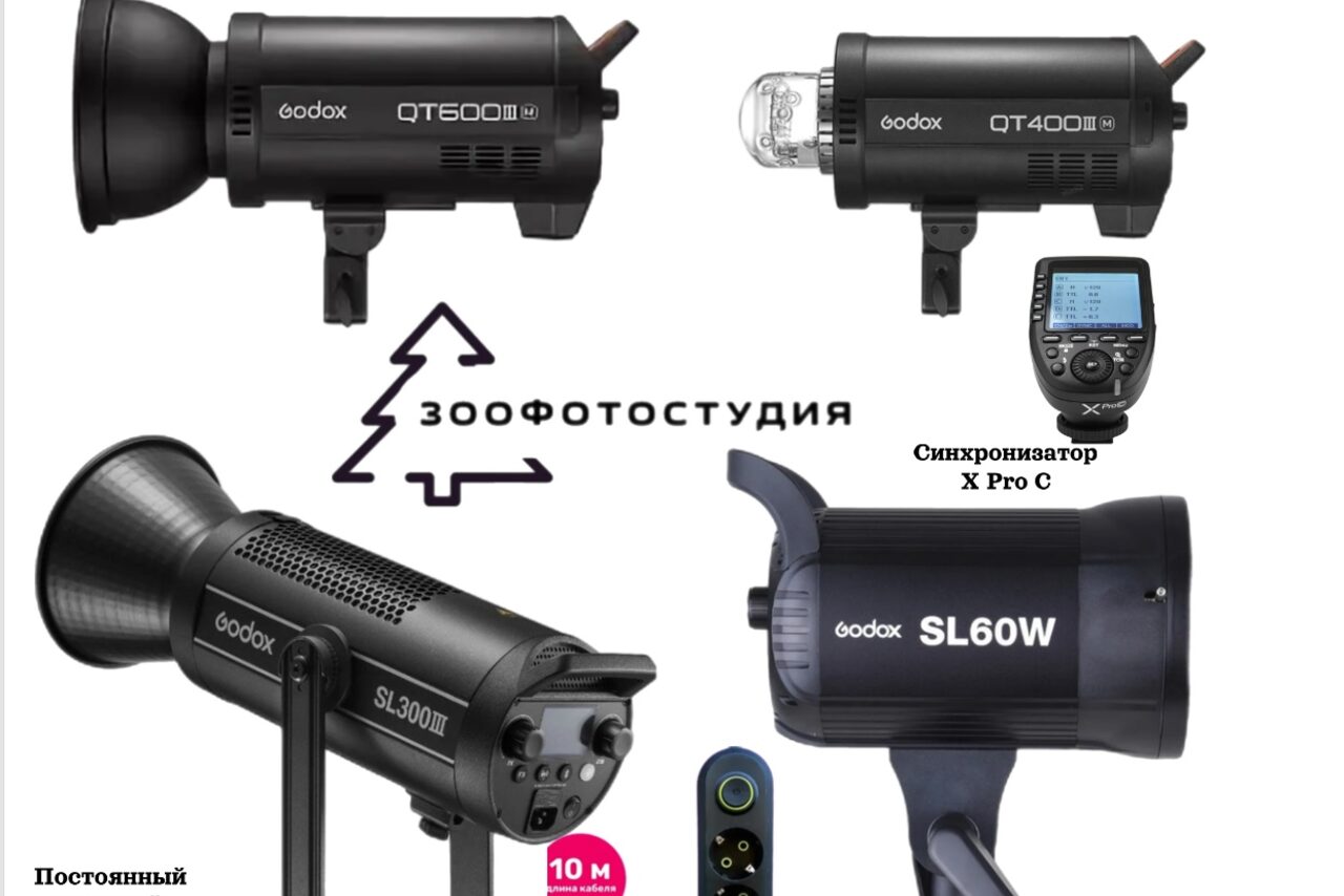 Арендовать Огромное пространство с фотозонами