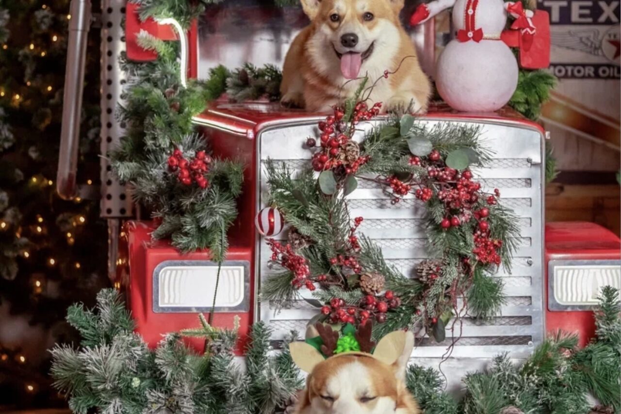 Арендовать Огромное пространство с фотозонами