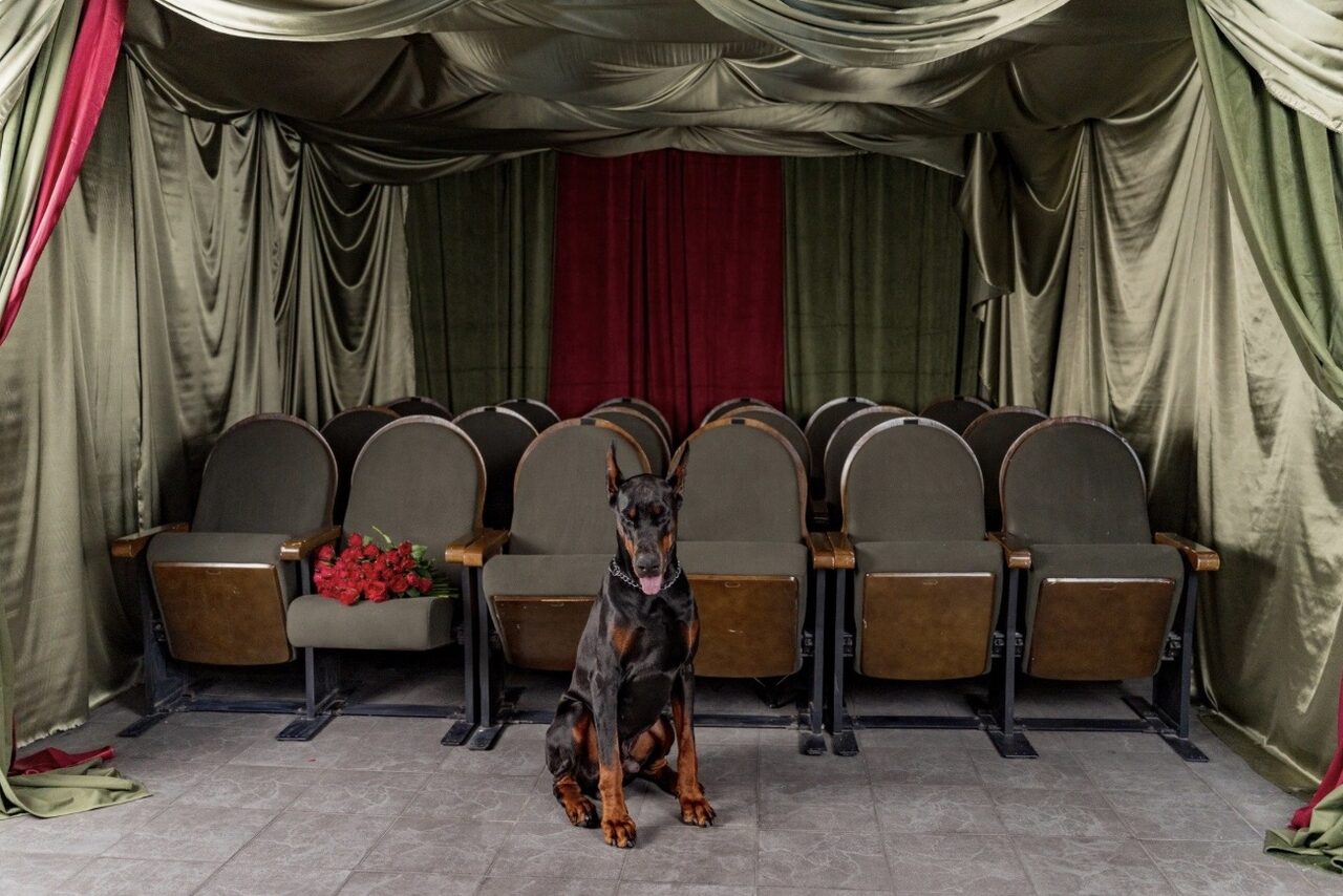 Арендовать Огромное пространство с фотозонами