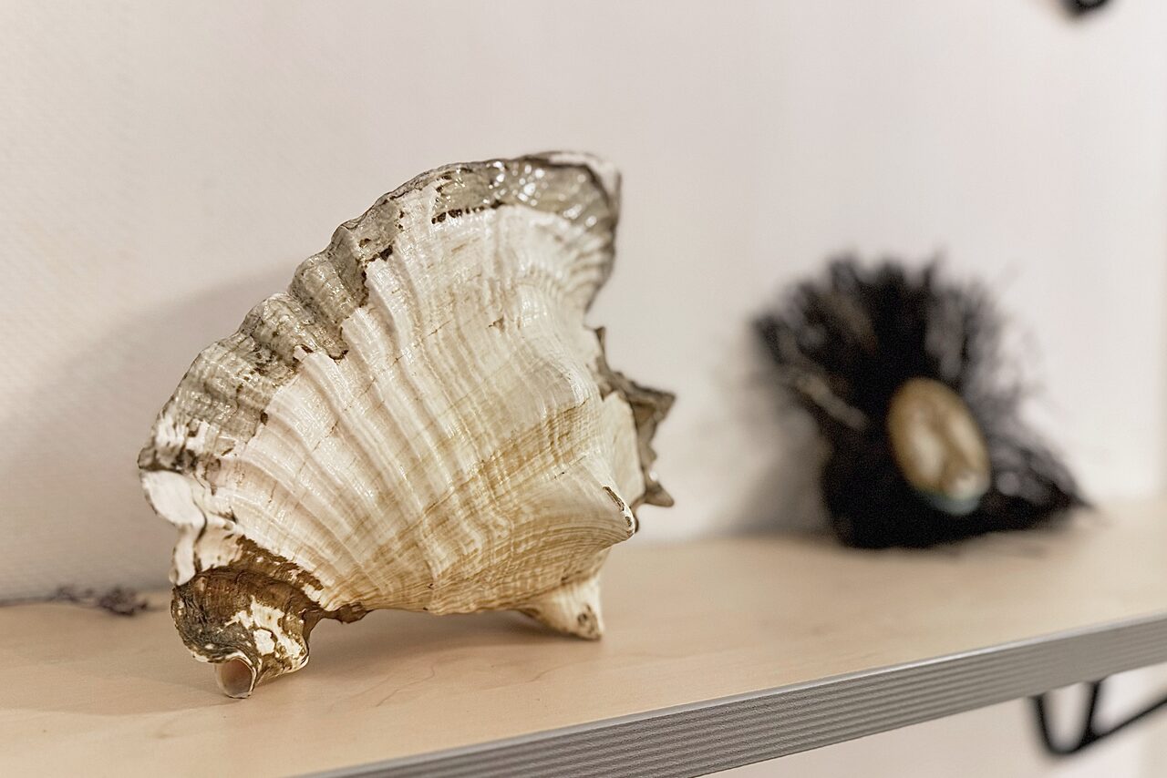 Арендовать Дизайнерский зал