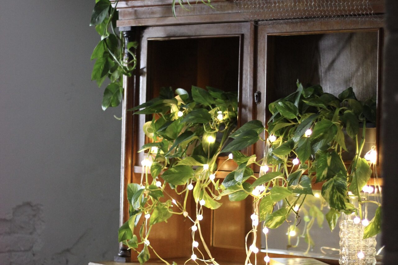 Арендовать Кафе под закрытие с несколькими залами