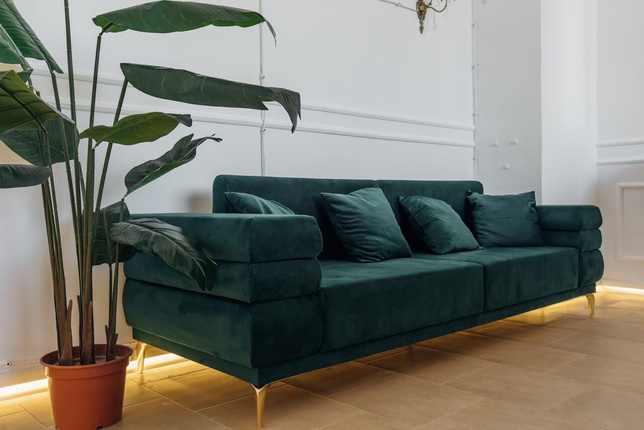 Арендовать Rubin Loft (Рубин Лофт). Зал Империал. Пространство с зеленым диваном на золотистых ножках, рядом горшок с растением. Диван окружен несколькими подушками в тон. Стены белые с декоративными панелями, пол светло-коричневый. Освещение мягкое, снизу подсветка.