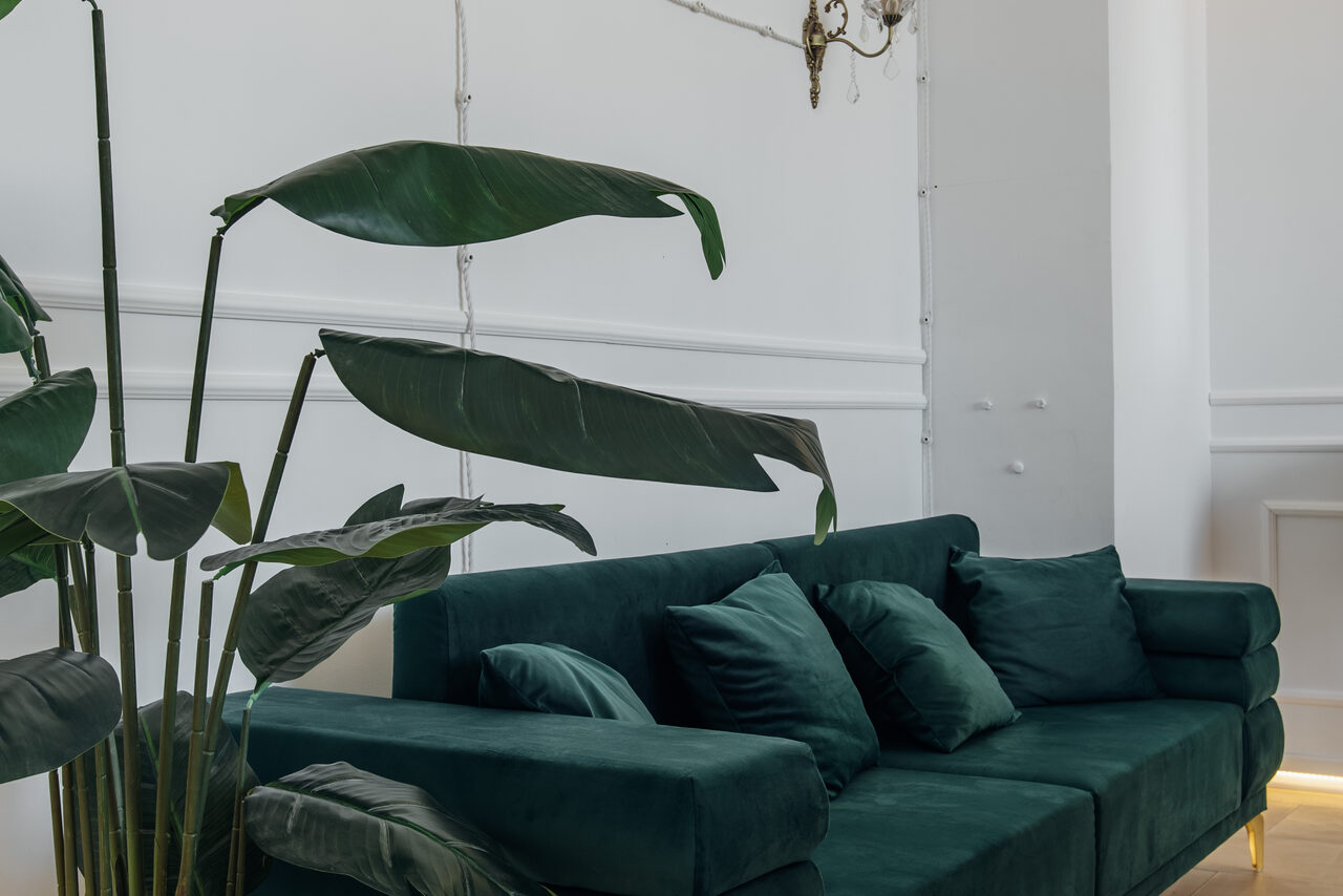 Арендовать Rubin Loft (Рубин Лофт). Зал Империал. Гостиная с зелёным диваном, декорированным подушками, крупным растением в углу. Стены светлые с панелями, на них установлен светильник. Потолок высокий, освещение мягкое.