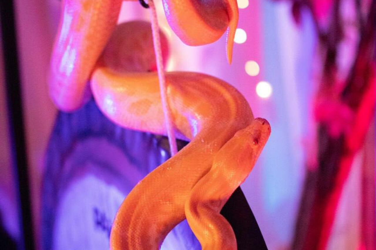 Арендовать Лес. Двухъярусное арт-пространство с верандой