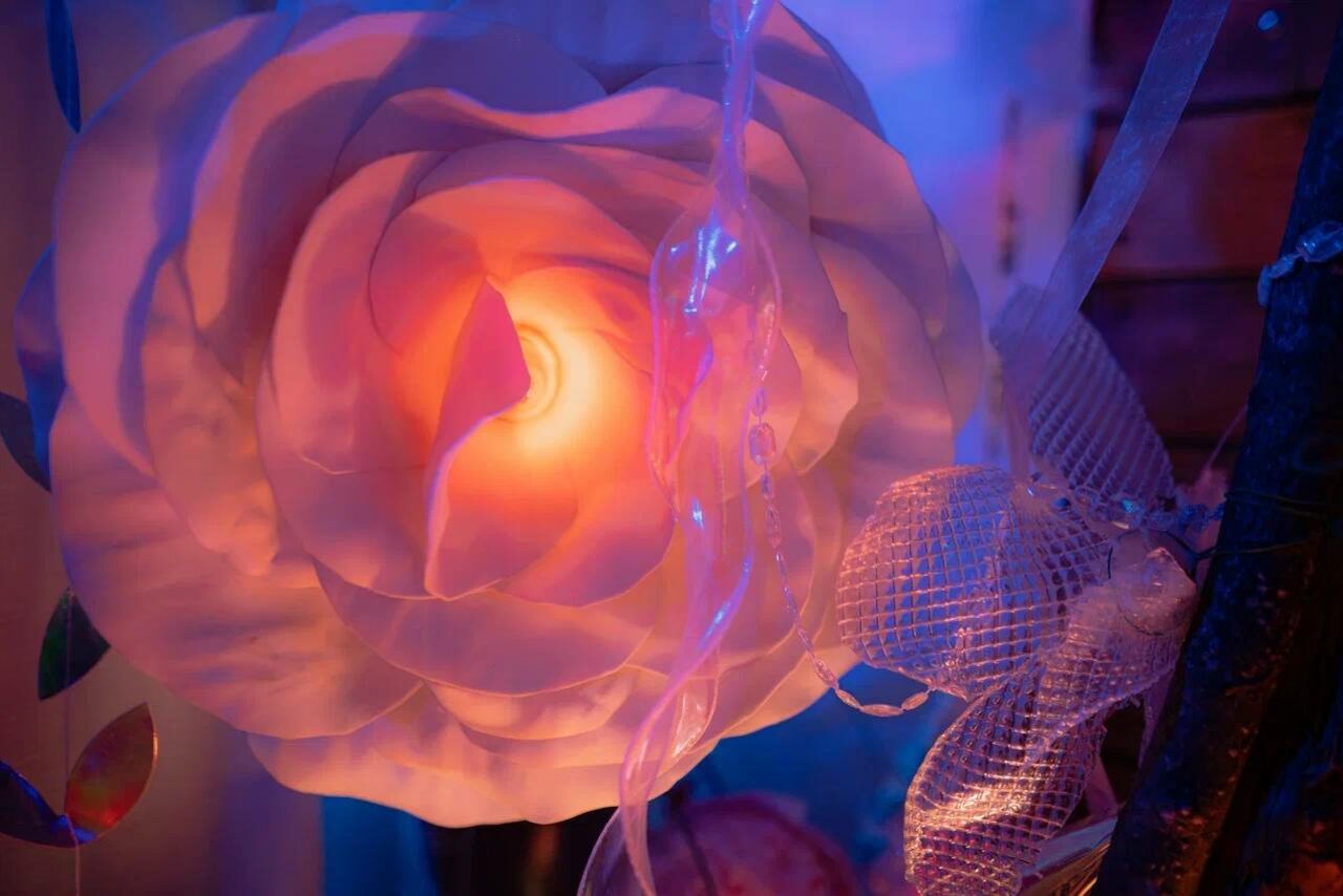 Арендовать Лес. Двухъярусное арт-пространство с верандой