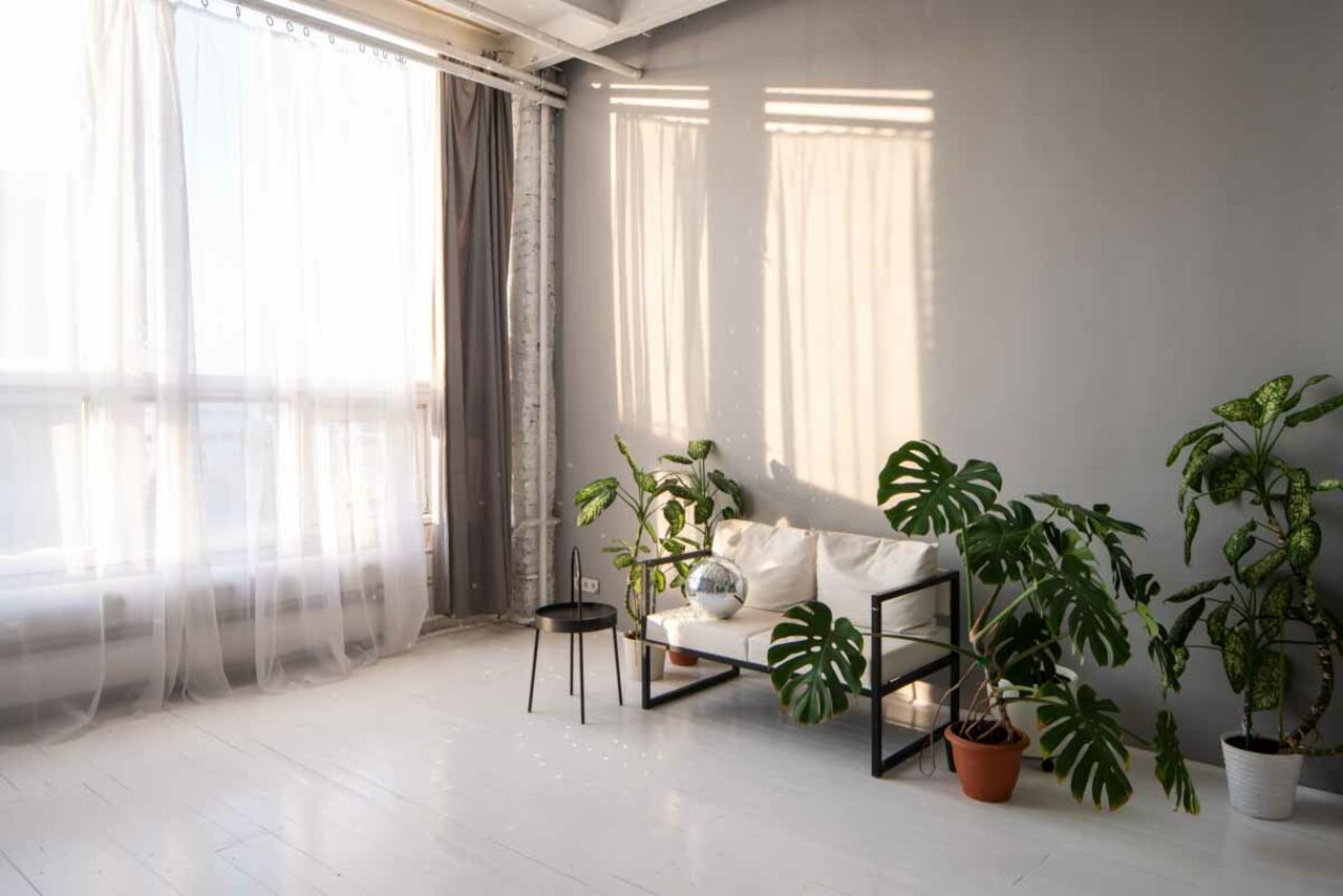 Арендовать White Garden, Unicorn Studios (Уайт Гарден, Юникорн Студиос). Минималистичная светлая фотостудия