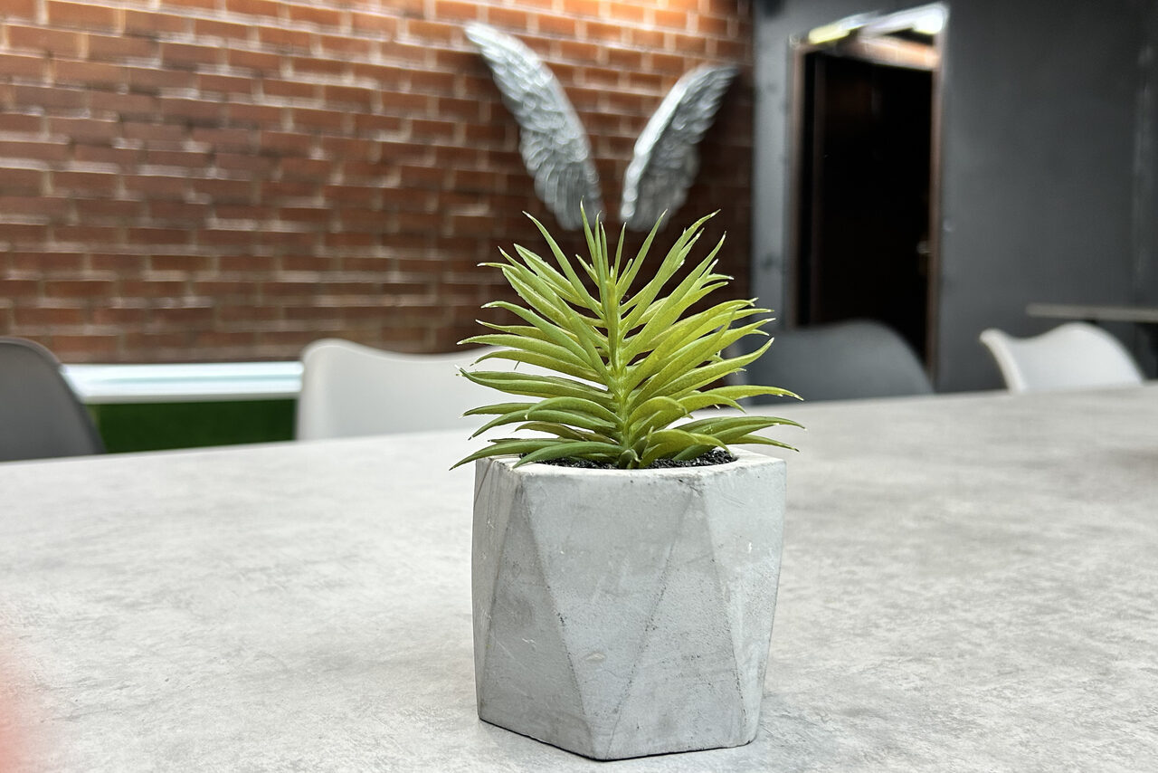 Арендовать Брутальный лофт с крыльями, как в Дубае