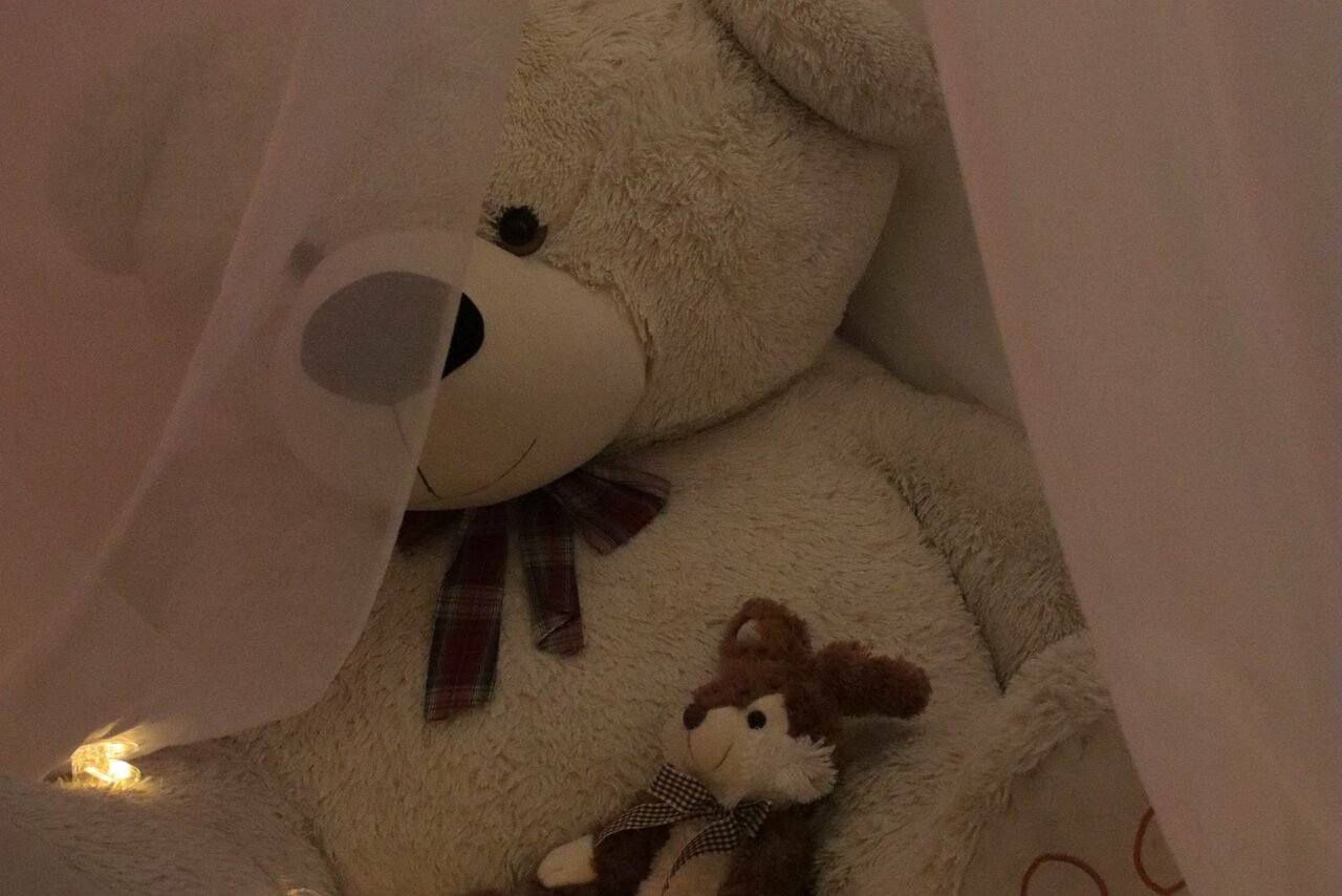 Арендовать Пространство Нора лофт. Плюшевый медведь и мягкая игрушка кролик в окружении легких полупрозрачных занавесей. Медведь украшен клетчатым бантом. На фоне мягкий теплый свет, создающий уютную атмосферу.