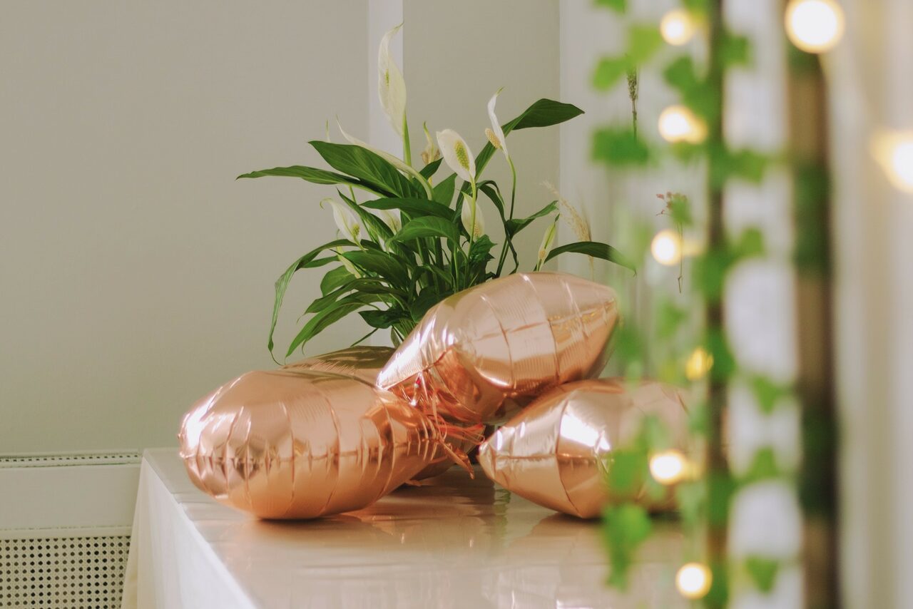 Арендовать Encanto Studio. Светлая студия с балконом