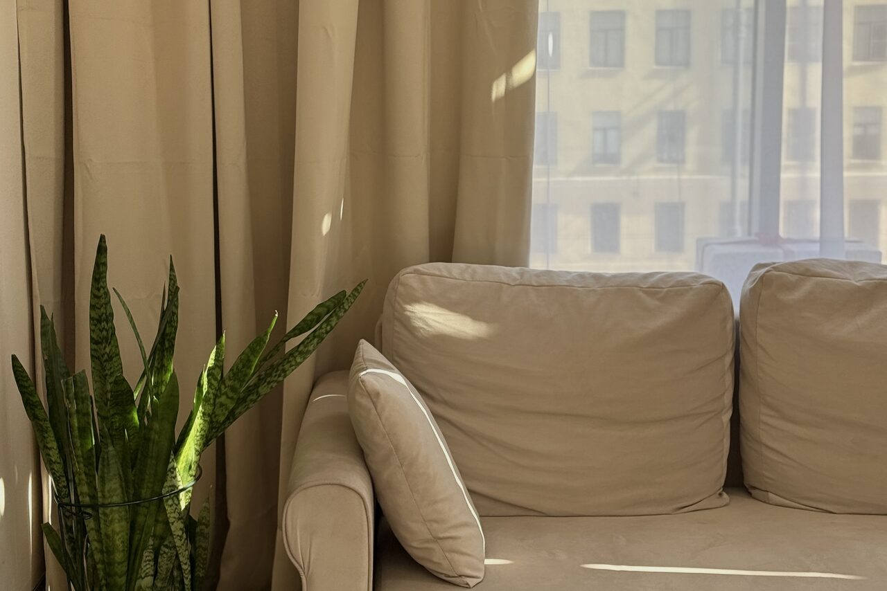 Арендовать Студия Н. Светлая комната с бежевыми шторами и мягким диваном того же цвета. Рядом с диваном стоит зелёное растение в горшке. Из окна виден фасад здания, освещение естественное, дневное.