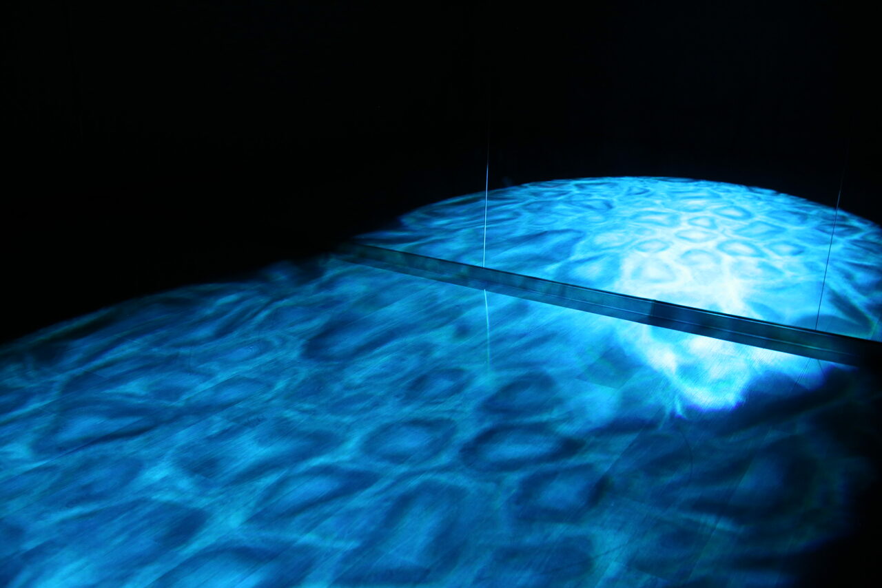 Арендовать ТРЕНДенс. Танцевальный зал на 10 человек