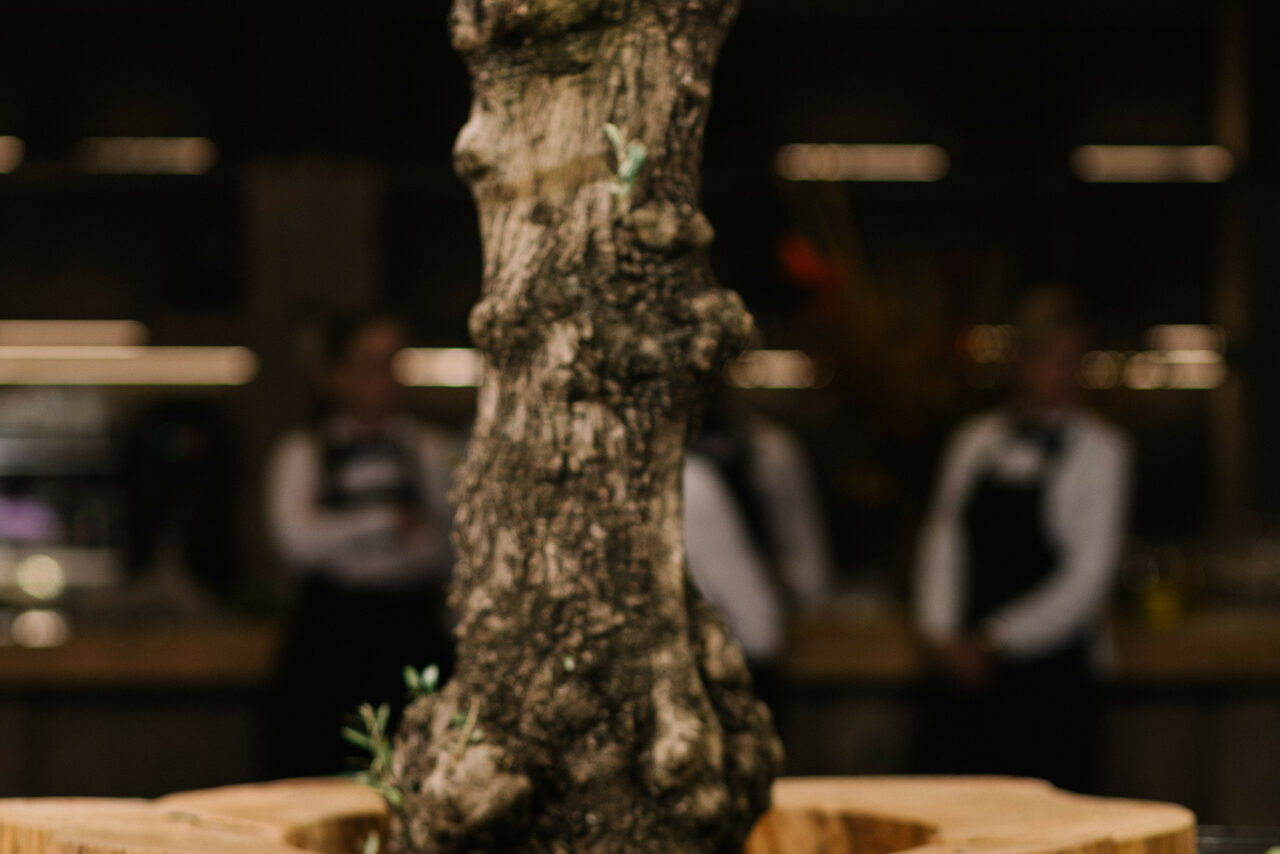 Арендовать Omega Events(Омега события). Площадка «БОР»