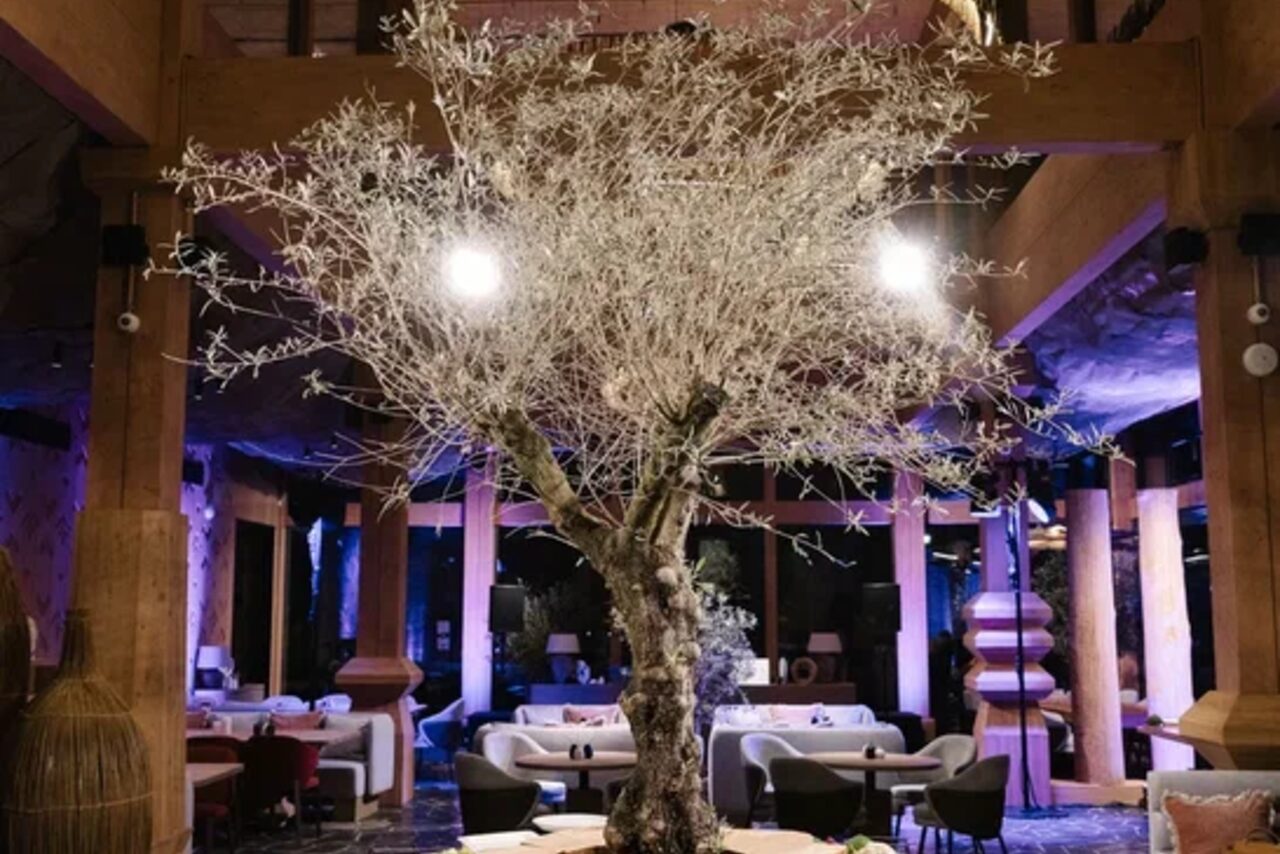 Арендовать Omega Events(Омега события). Площадка «БОР»