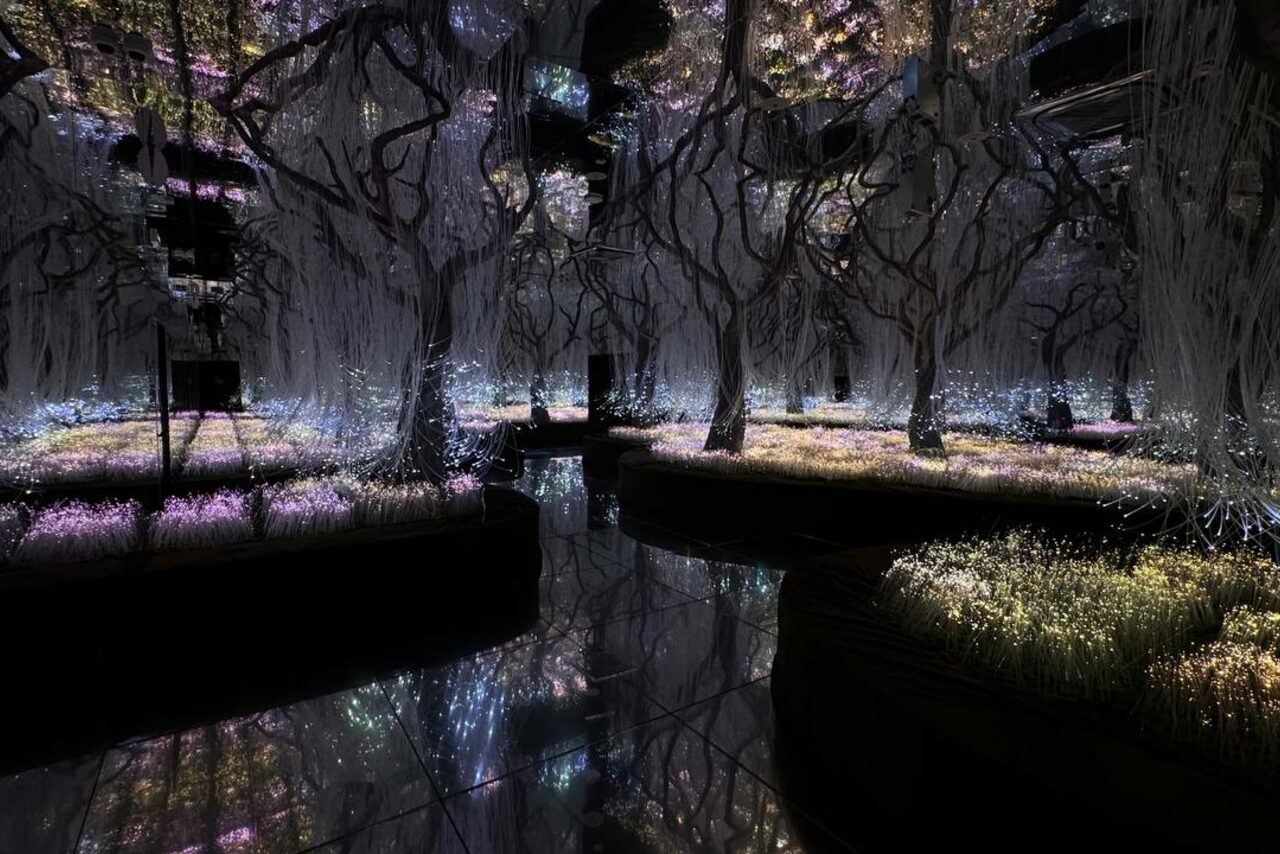 Арендовать Futurione(Футурио́не). Мистическое пространство со светящимися деревьями и травой, отражающимися в глянцевом полу. Освещение разноцветное, создающее атмосферу сказочного леса. Стены и потолок темные, без видимого декора.