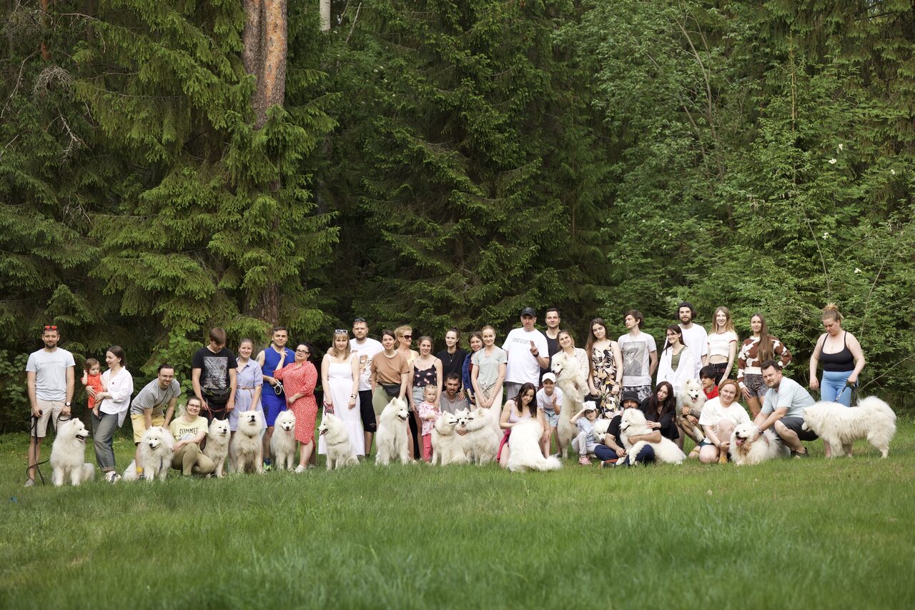 Арендовать Белый Пёс(WHITE DOG event). Группа людей и собак стоит на травянистой поляне в лесу. Позади высокие деревья. Одежда людей разнообразна, несколько человек держат собак на поводках. Зеленая трава и деревья создают естественное окружение.