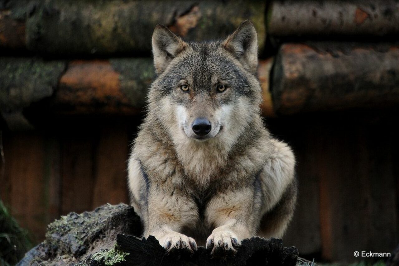 Арендовать ТЕСТ Большой зал remarketing