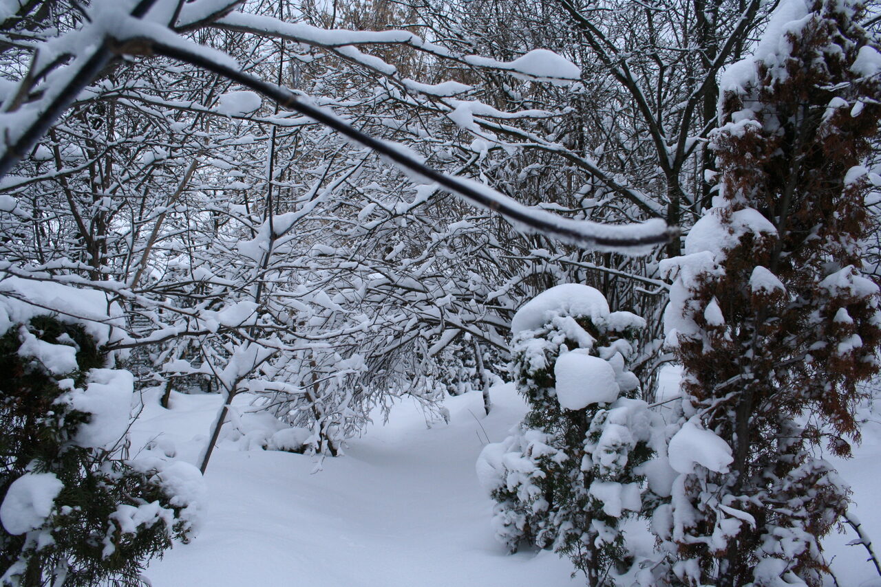Арендовать Лофт в сказочном саду 