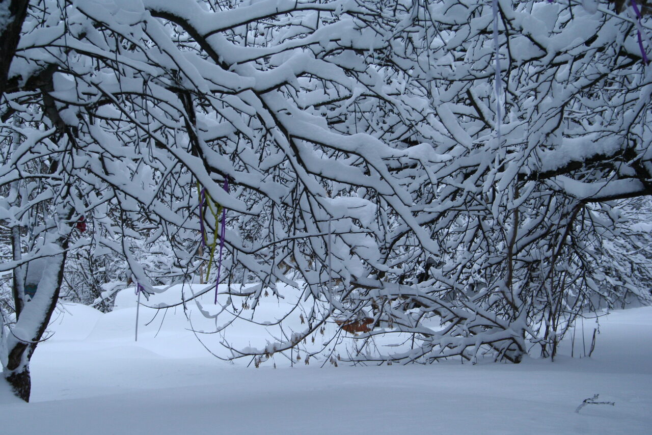 Арендовать Лофт в сказочном саду 