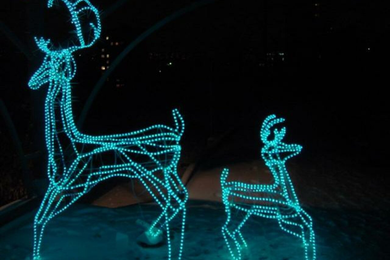 Арендовать Лофт в сказочном саду 