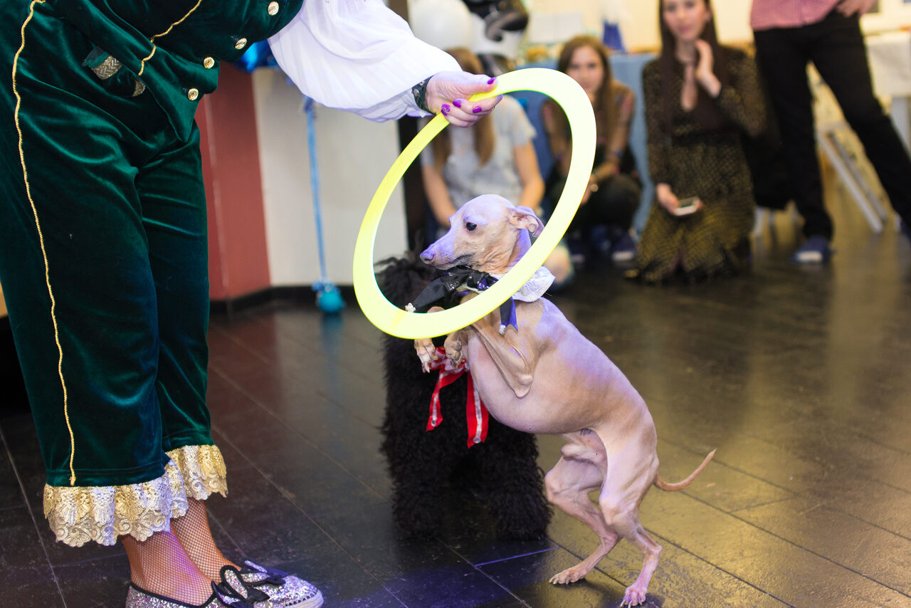 Арендовать НеВзрослые. Стильное семейное пространство