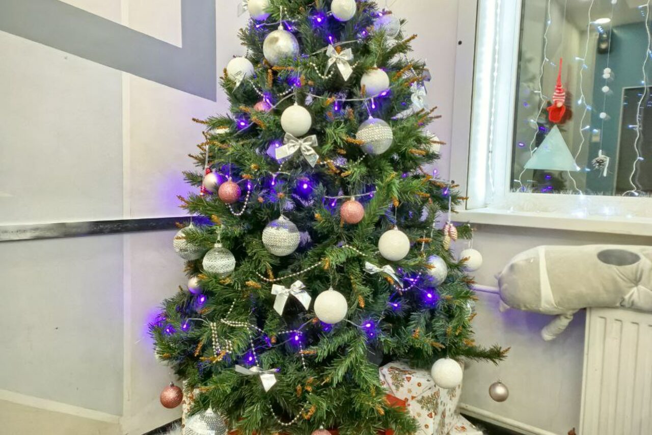 Арендовать НеВзрослые. Стильное семейное пространство