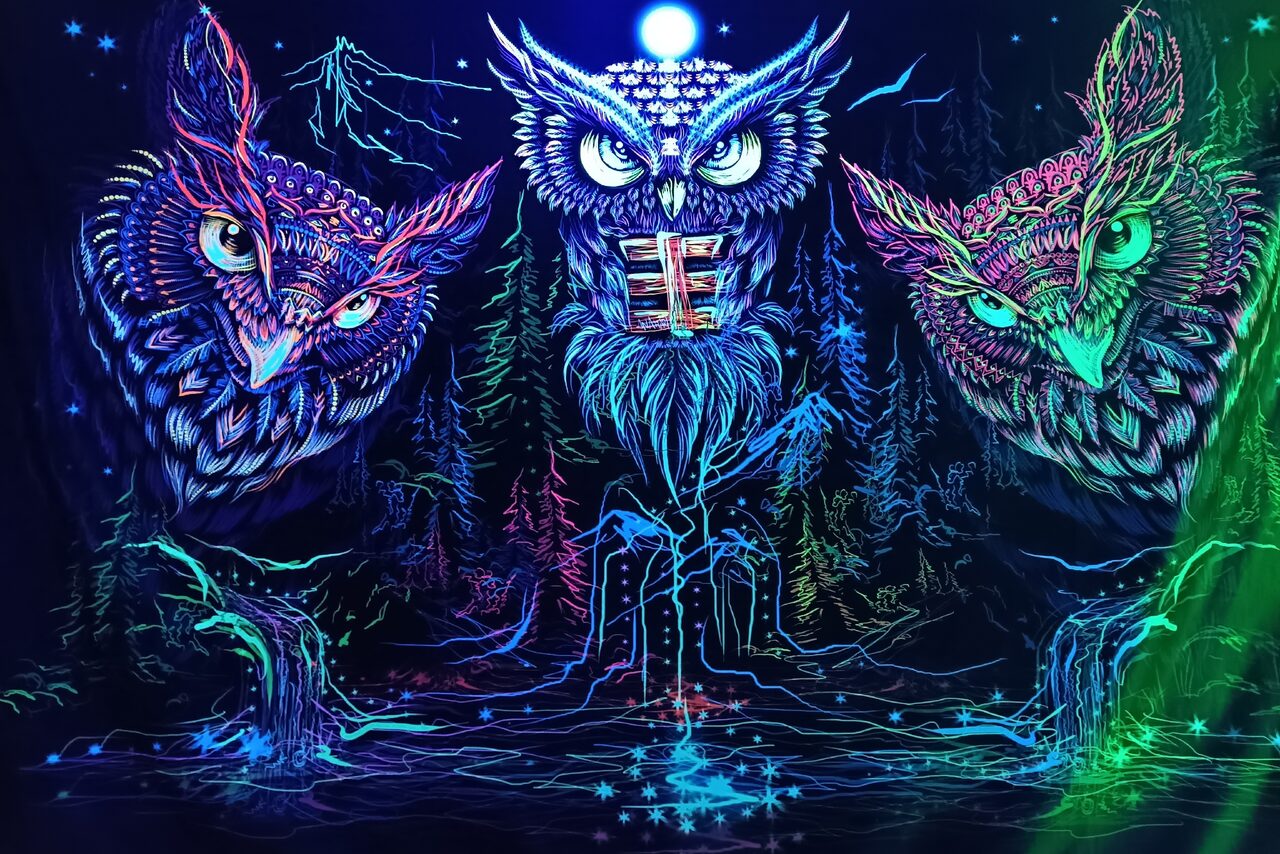 Арендовать Двухъярусный лофт с ярким дизайном