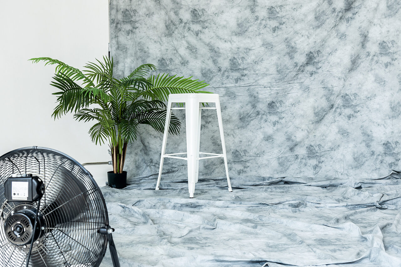 Арендовать Белый лофт с пальмой